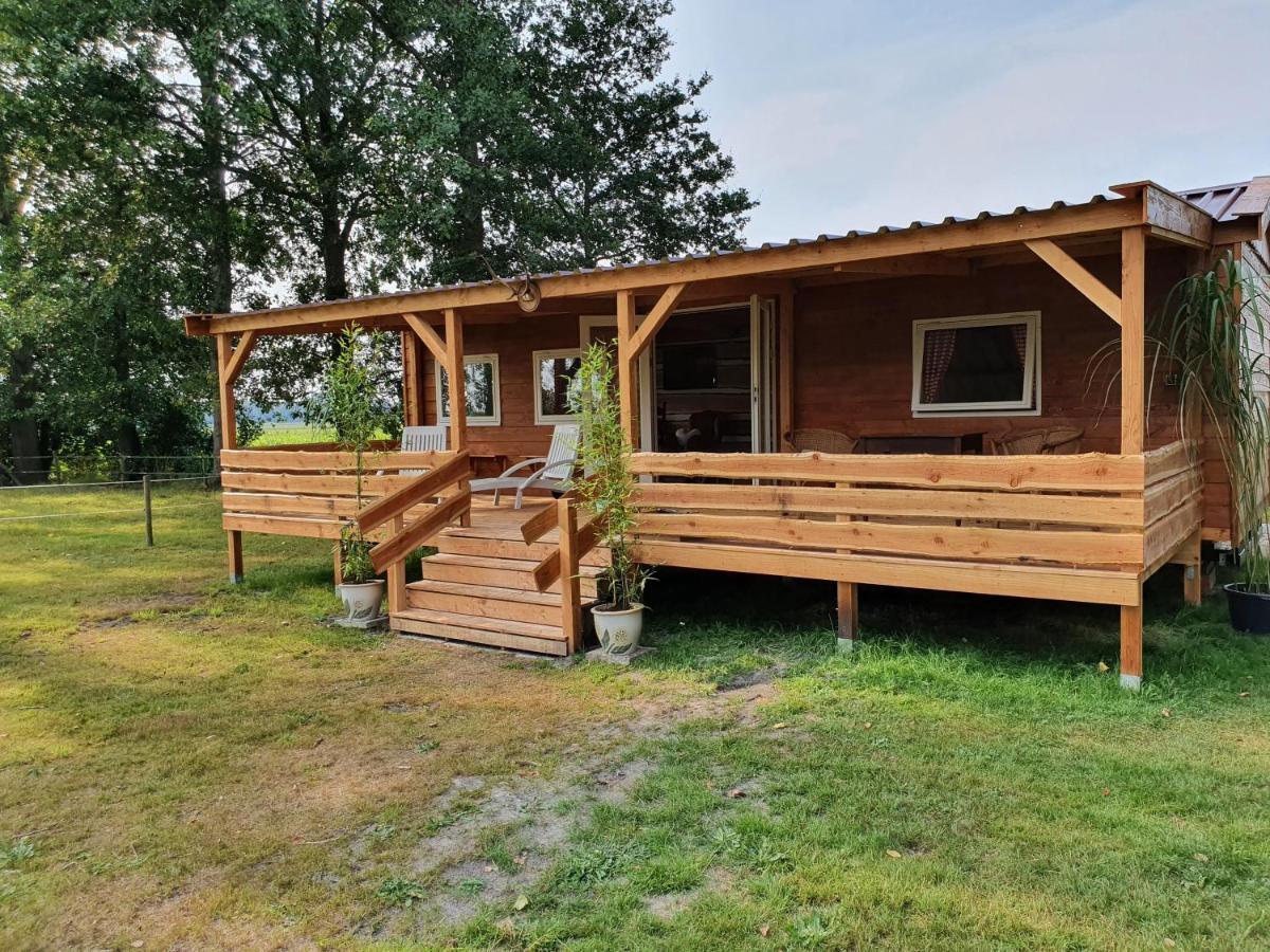 Tiny House Het Reebokje Lejlighed Vriescheloo Eksteriør billede