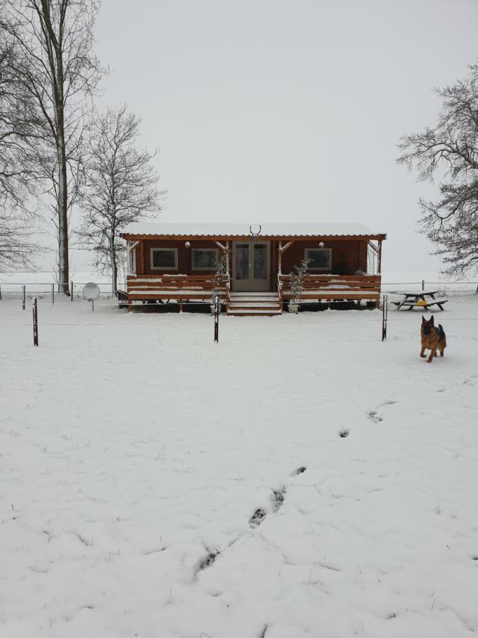 Tiny House Het Reebokje Lejlighed Vriescheloo Eksteriør billede